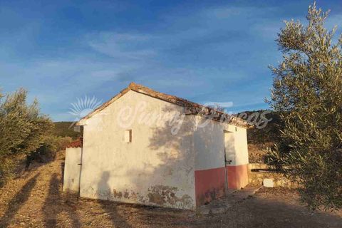 Grond in Biar, Alicante, Biar - € 65.000 | Ref: SF0442 - foto 3